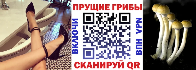 Галлюциногенные грибы мицелий  Невинномысск 