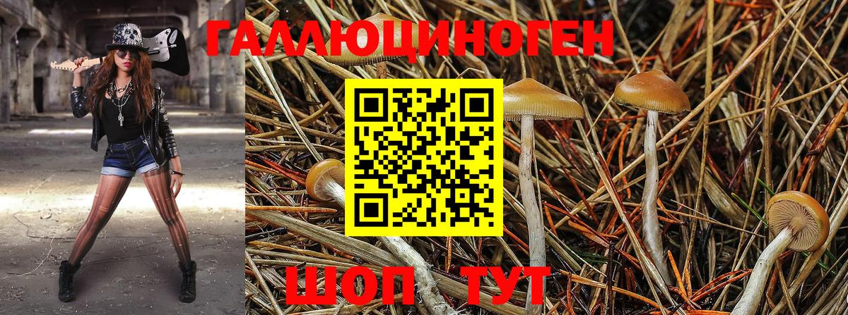 Галлюциногенные грибы Magic Shrooms  Вход с VPN  Невинномысск 